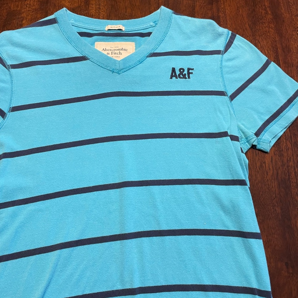 Blue striped Abercrombie and Fitch shirt